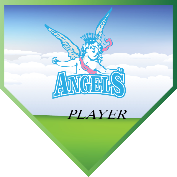 Angel1 Softball Banner diy softball banner images