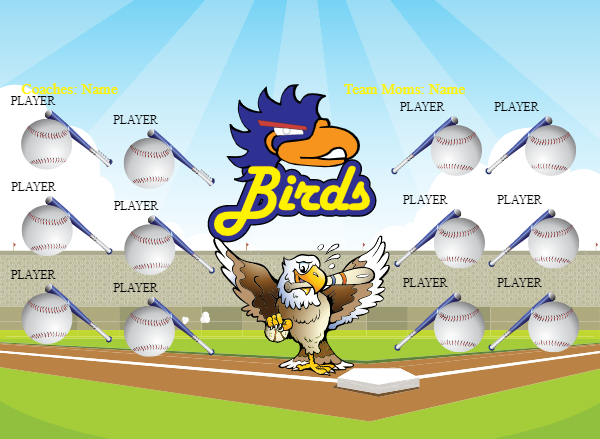 BIRD1 Softball Banner softball banner picture ideas images