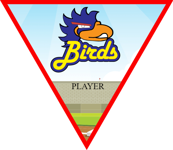 BIRD1 Softball Banner softball birthday banner images
