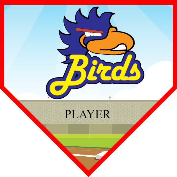 BIRD1 Softball Banner softball player banners images