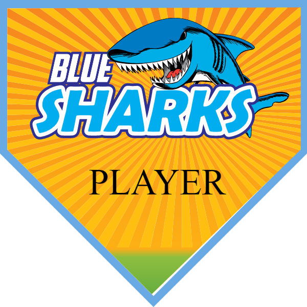 BLueSharks2 Softball Banner banner for softball team images