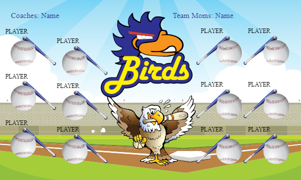 Birds Softball Banner