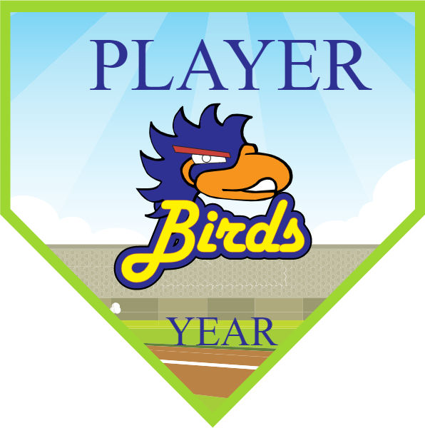 Birds Softball Banner