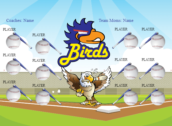 Birds Softball Banner