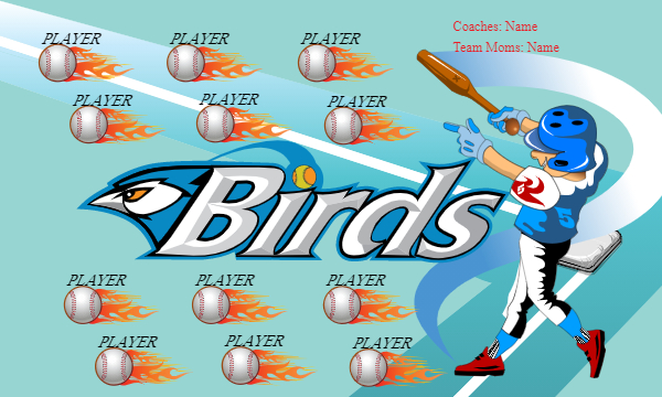 Birds2 Softball Banner
