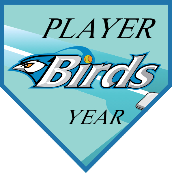 Birds2 Softball Banner