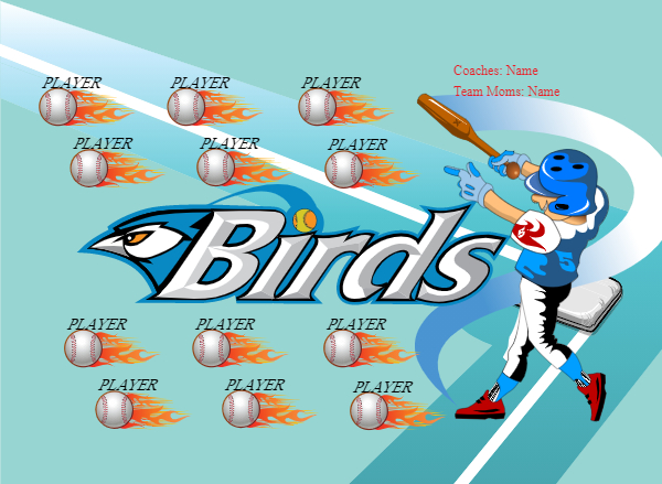 Birds2 Softball Banner