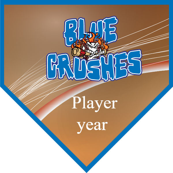 Blue Crushes 1 Softball Banner softball banner quotes images