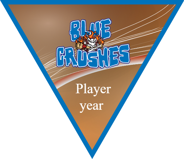 Blue Crushes 1 Softball Banner softball parade banner ideas images