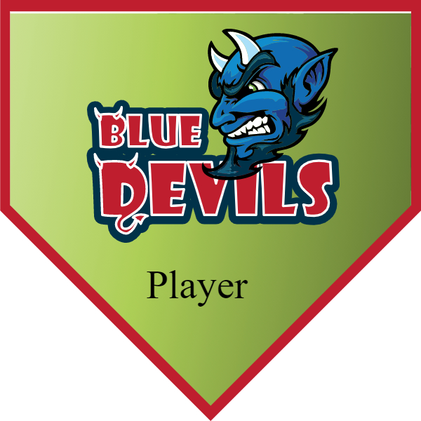 Blue Devil 2 Softball Banner softball banner size images