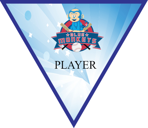 BlueMonkey Softball Banner all star softball banners images