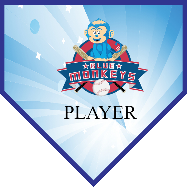 BlueMonkey Softball Banner softball team photo banner images