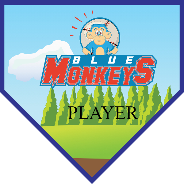 BlueMonkey2 Softball Banner softball player banners images