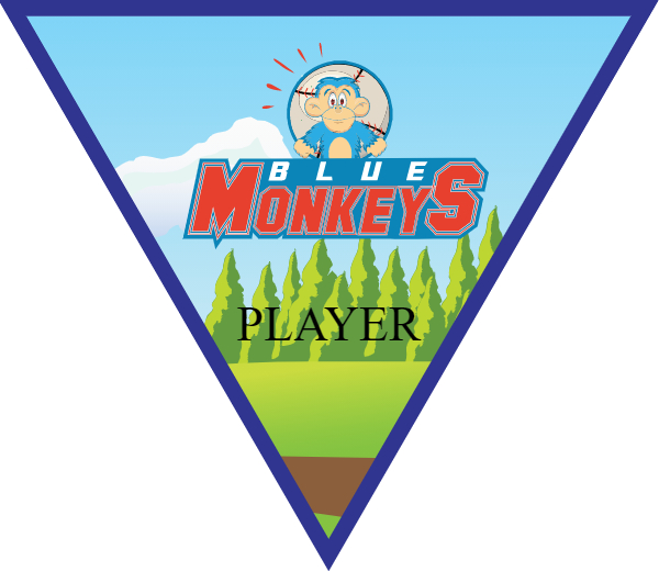 BlueMonkey2 Softball Banner softball team picture banners images