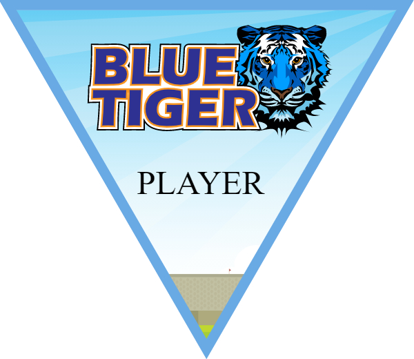 BlueTiger Softball Banner banners for softball images