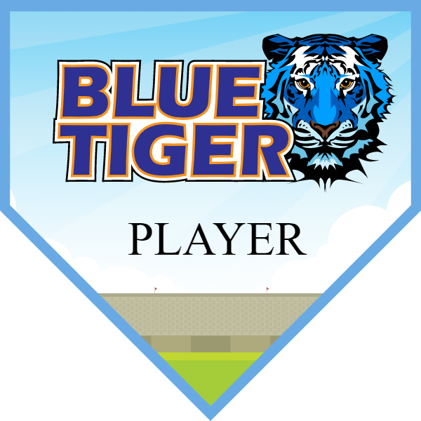 BlueTiger Softball Banner softball fence banners images