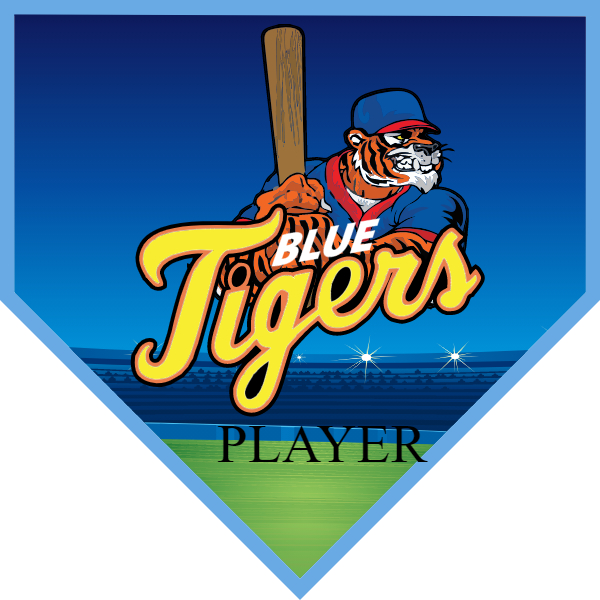 BlueTiger2 Softball Banner softball field banner images