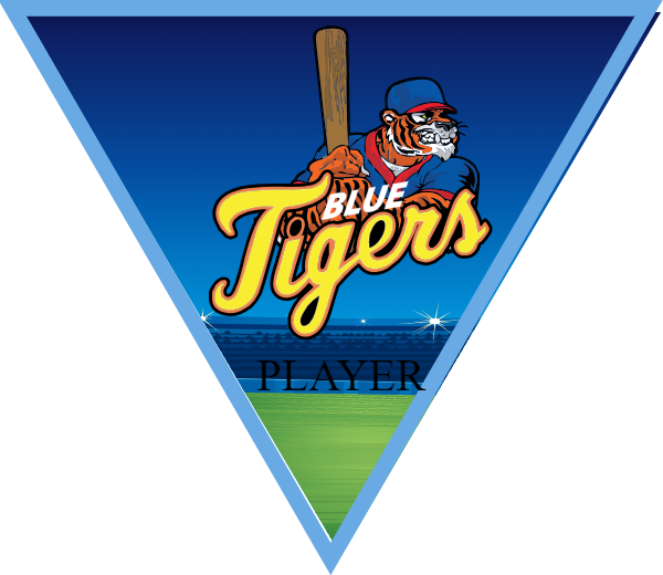 BlueTiger2 Softball Banner softball slogans for banners images