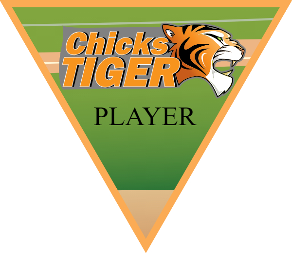 ChickTiger Softball Banner asa softball banners images