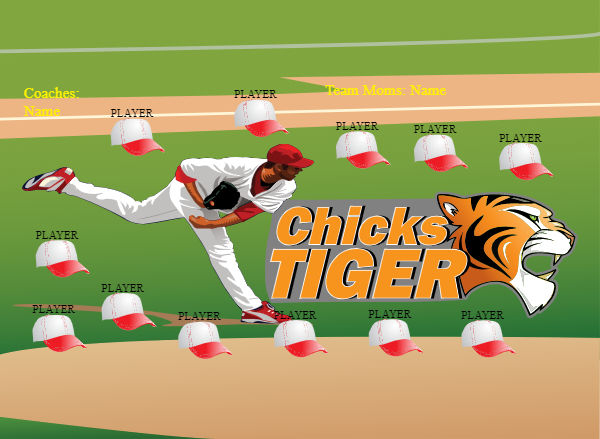 ChickTiger Softball Banner senior softball banners images