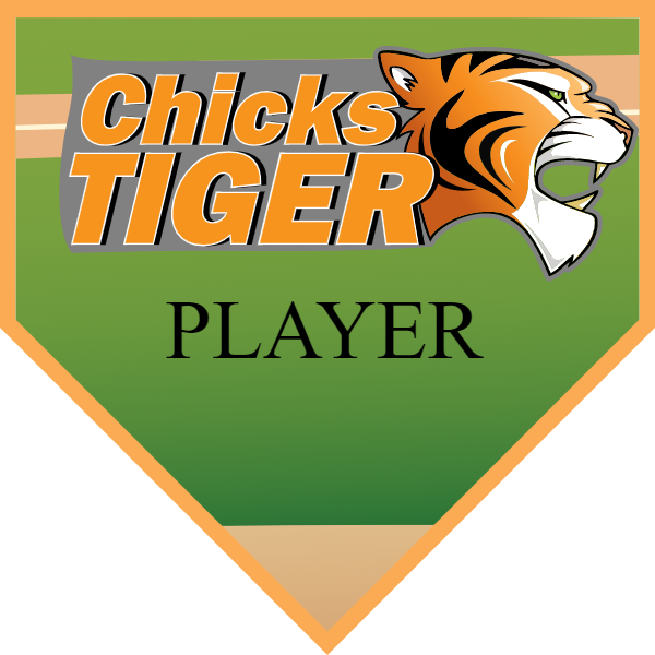 ChickTiger Softball Banner softball championship banner images