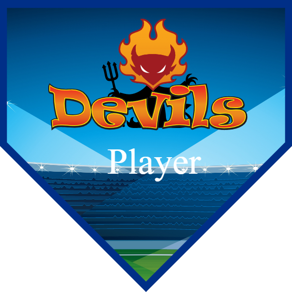 Devil 1 Softball Banner softball parade banner ideas images