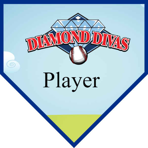 Diamond Divas 1 Softball Banner softball banner fail images