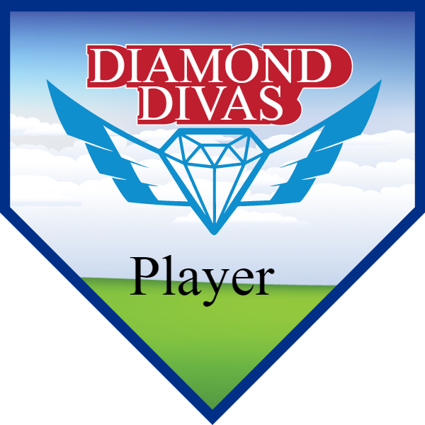 Diamond Divas 2 Softball Banner softball banners orange county images