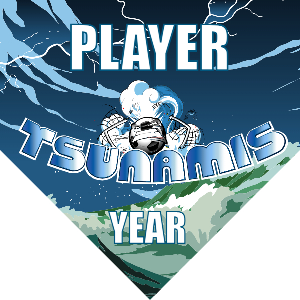 Tsunamis Soccer Banner soccer banners torrance images