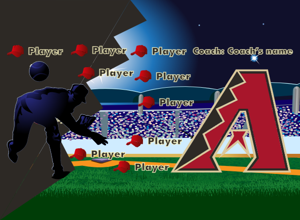 Arizona Baseball Banner 