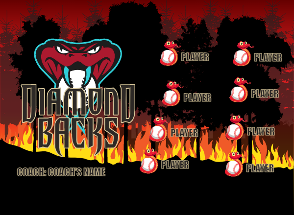 Arizona Diamondbacks 2 Baseball Banner 